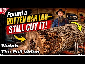 I Found This Rotten Oak Log… And Sawed It Anyway