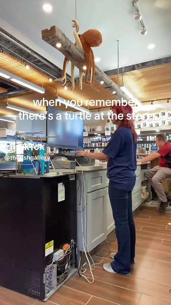 Meet Apple: Our Fly River Turtle in Houston