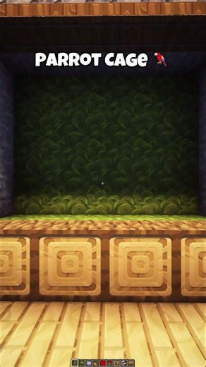 Minecraft: Parrots House？🦜