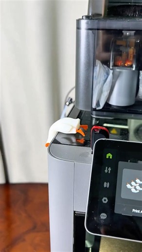 Goose buddy 3D Print