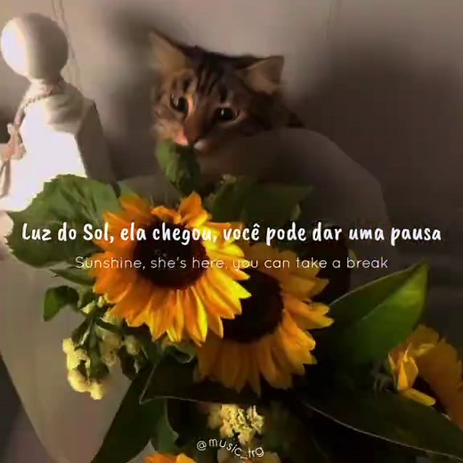 Clap Along: A Happy Pharrell Williams Music Video