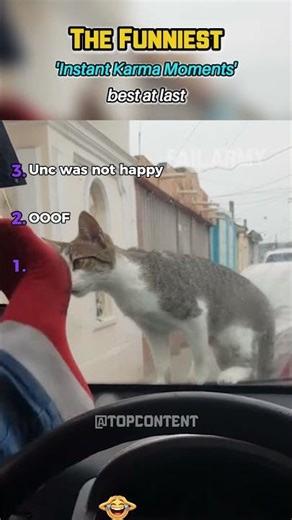 Brutal Instant karma moments #ranking #funny #ustop10 #viralvideos #memes
