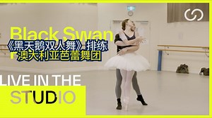 直击澳洲芭蕾舞团首席排练《黑天鹅》：每一帧完美背后，是千百次的雕琢