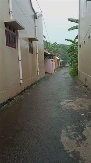Heavy Rain in a Quiet Alley | Relaxing Rain Sounds for Sleep & Relaxation