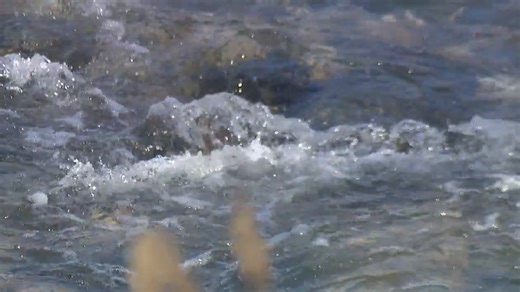 14 million gallons of sewage water spills into Baltimore City waterways