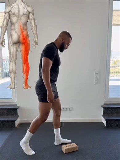 Endkneepain on Instagram: "SCIATICA This routine combines 7 exercises to improve nerve glides, reduce irritation, and restore movement. It also builds hip mobility, strengthens control in internal rotation, and releases tension in the piriformis, a muscle that can play a role in sciatica. Together, these movements ease pressure in the hips and lower back, promote smoother nerve motion, and unlock stiffness around the pelvis. They may not help everyone, but can be especially useful if your pain c