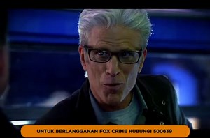 Fox Crime - CSI 12