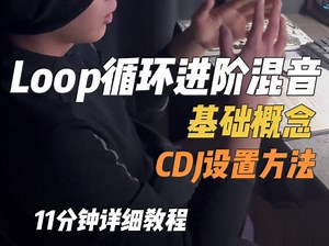 Loop循环的基础概念与四种设置方式以及Quantize量化功能的使用讲解