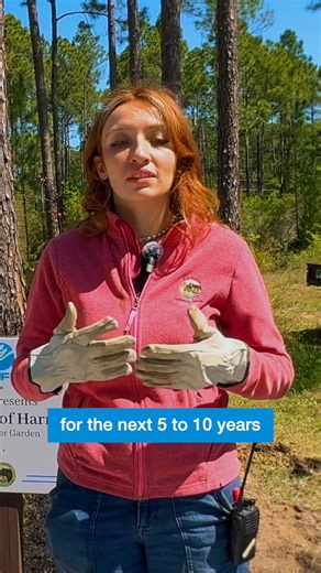 24 reactions · 3 comments | Thanks to our incredible FPL volunteers, Wings of Harmony is blooming—planting the seeds today so future generations can enjoy the beauty of Northwest Florida tomorrow. | Florida Power & Light | Facebook