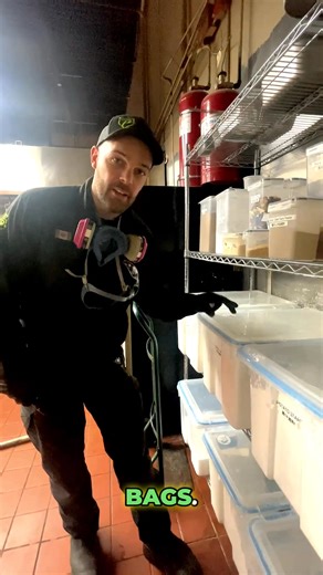 🔒 Storage Secrets: Stop Feeding the Pests! 🤫 Our Pest Control Specialist just gave us a masterclass on storing dry goods in a commercial kitchen—and it's a game-changer for prevention! Don't let your pantry be a pest buffet! 1️⃣ Off the Floor: Keep items raised on shelving units, not directly on the ground. 2️⃣ Airtight Sealed:** Use durable, air-tight sealed containers. Cardboard boxes and ripped bags are pest invitations! 3️⃣ Wipe It Clean: Ensure the outside of the containers is very clean,