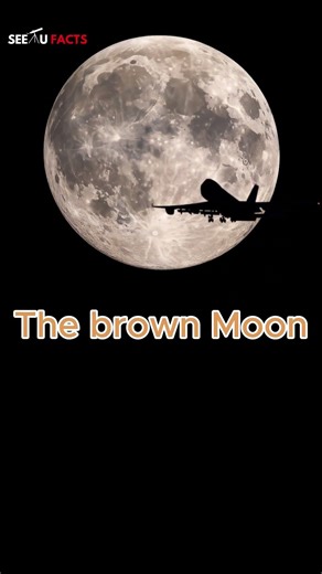 Colors of beautiful full moon #moon #facts #spaceexploration #nasa