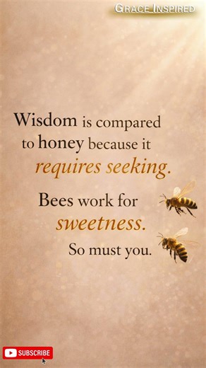 The Sweetness of Wisdom | Proverbs 24:13–14 Explained