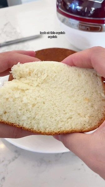 Delicious Rice Cooker Castella Cake Recipe