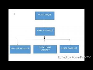 ICSMIS Organizational Structure 01 መስሪያ ቤት እና መዋቅር