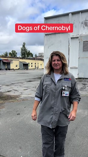Exploring the Resilience of Dogs in Chernobyl