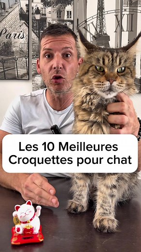 Top 10 Marques Croquettes pour chat #chat