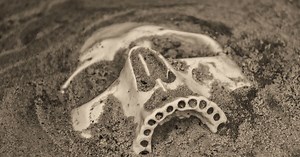 En combien de temps se forme un fossile ?