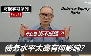 资产负债表: 从“左右平衡”到“资不抵债”！Debt-to-Equity Ratio【财报学习】Part 13