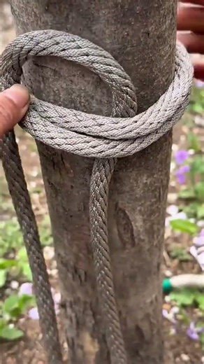 technique for tying rope to a tree so that it is strong and tight