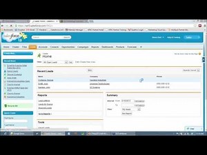 Optimizing Campaigns and Lead Management in Salesforce
