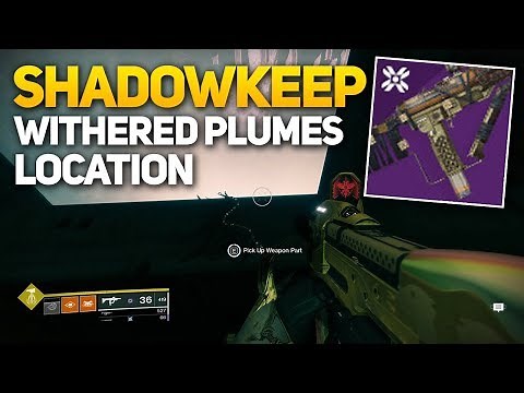 Withered Plumes Location (Circle of Bones) "Every Waking Moment" Quest Guide - Destiny 2 Shadowkeep