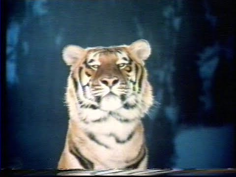 Esso Tiger Advert 1978