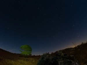 Five planets — Mercury, Venus, Mars, Jupiter, Saturn — are all visible at once