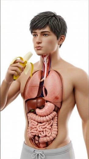 "What Happens If You Eat Banana 🍌" Health Effects, Side Effects And More #health #healtheducation