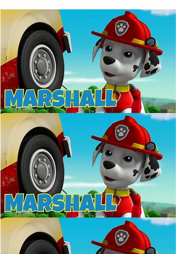 It’s time to complete the alphabet with M through Z! 🔤🐾 #PAWPatrol