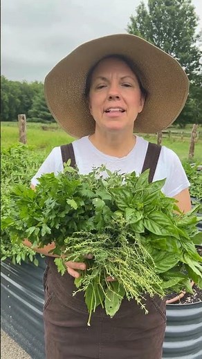 How to dry your herbs!
