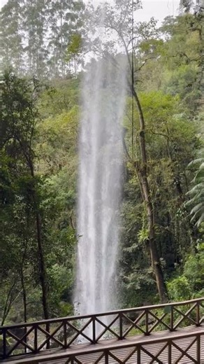 Waterfall whispers and gentle tunes🌧🌍