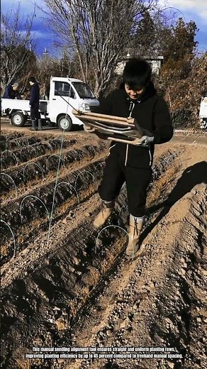 Best Innovation Manual Seedling Alignment Tool: How to Plant Rows Precisely