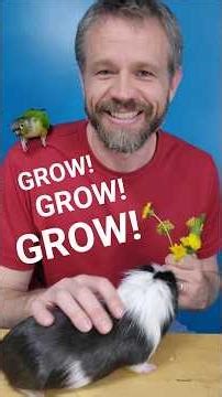 Never Stop Growing! | Object Lesson for Kids #BibleLesson #bibletime