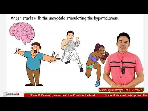 Grade 11 Personal Development - The Powers of the Mind