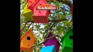 Give Your Wood a Fresh New Look with Sadolin Superdec!  Transform your exterior woodwork with Sadolin Superdec – a top choice for lasting protection and a beautiful satin finish. This water-based, highly durable formula is perfect for doors, fences, sheds, or any outdoor wood that needs some TLC. Pop in to Albany Decorplan for expert woodcare advice and see the difference quality makes! | Albany Sligo | Facebook