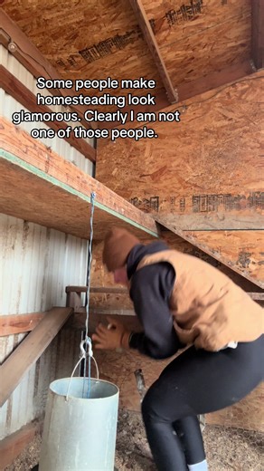 Just another peaceful morning collecting eggs. Somebody should tell the chickens that’s not where they should lay eggs. #homesteadhumor #homesteadmom #reallife #farmlife #bonk