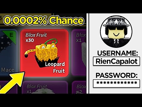 I Logged Into THE RICHEST BloxFruits Account!