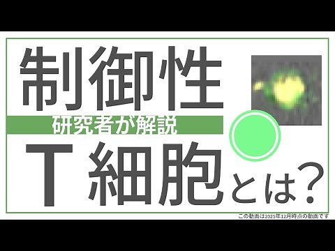 Mechanisms of Cancer and Immunity: A Simple Explanation of the Role of Regulatory T Cells [Nation...