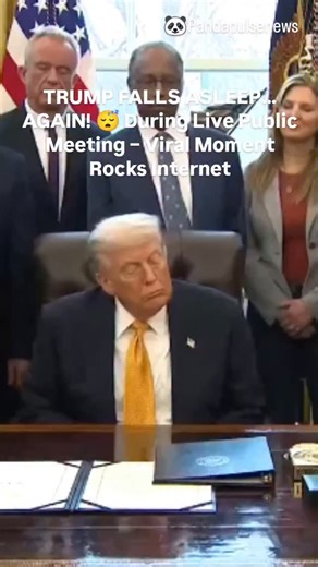 PandaPulse | Global News on Instagram: "🚨 BREAKING MEME FUEL: President Trump just caught a quick nap… mid-meeting! During a high-profile public event in the Oval Office, surrounded by officials, kids, and cameras, Trump visibly nodded off for several seconds – head dropping, eyes closed – before snapping back. The clip is exploding online with reactions ranging from "Grandpa energy" 😂 to "Is he okay?" to full-on memes. Whether you love him or roast him, this is classic unfiltered Trump conten