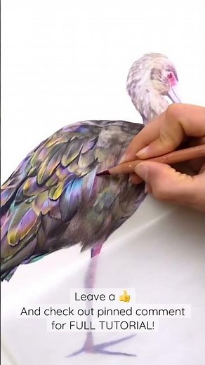Drawing a REALISTIC BIRD with Colored Pencil
