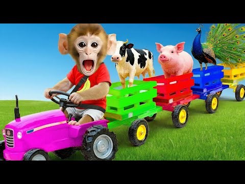 El Viejo MacDonald - Disfraces De Granja | Canción Del Baile De Los Animales | Monito y Canciones