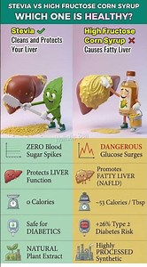 Stevia vs High Fructose Corn Syrup: Which is Actually Healthy? 🍃