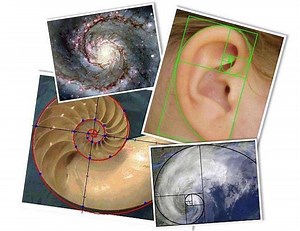 Juan Alio LA BELLEZA Y LA PROPORCIÓN AUREA. PARTE I - PLAZABIERTA