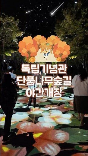 가을 밤, 단풍나무숲길에서 만난 환상적인 풍경🍁✨ #단풍 #독립기념관 #단풍나무숲길