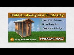 How To Build A Outdoor Bird Aviary From Steel