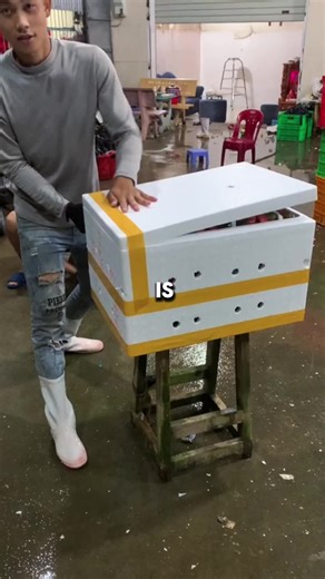 First part what is the most bizarre thing you’ve witnessed at a sleepover?#fyp #reddit #redditstories #reddit_tiktok #redditreadings #