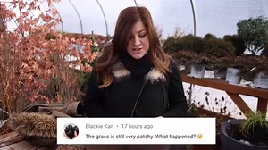 97K views · 4.5K reactions | Where Do I Get My Ideas?/ Second Youtube Channel! | Garden Answer | Facebook