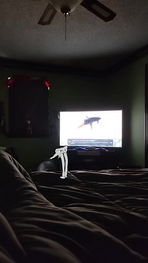 Micheal Chacon Sr. on Reels