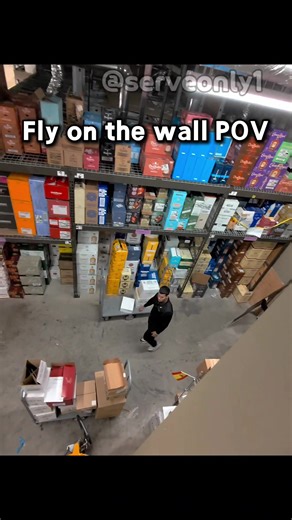 Original 🪰 on the wall POV #fyp #viral #prank | pranks
