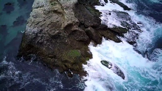 Relaxing Video of Nature